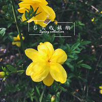 ����ʱ��