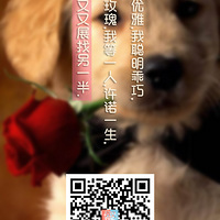 19¥չȦޣ̫+˿ʲУ