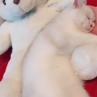 ˯�ø�����һ���������Դ���˯��