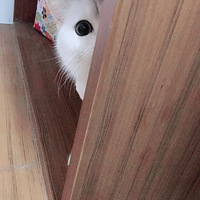 ��׽�Բ���Ϸ��