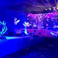 19¥����������Գ�����