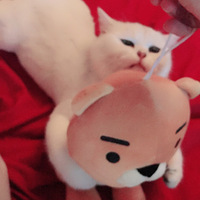 �����ĵ�����ͦ���ģ��㶼��˯����