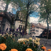 ��ʿ����ʿɽ��