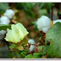 �� �ѵ�һ���ģ��޻� ��  �����ƽ������δ�ؼ����޻���