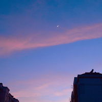 ��ϼ����