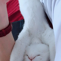 ��˯���Ǹ���ѧ����ô