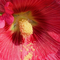 С�����С��