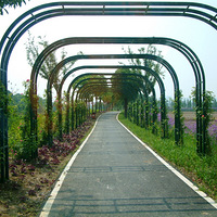 �������̵�