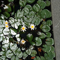 �����졣�㻹����