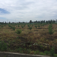 �ղ�    ��Ь��©ˮ