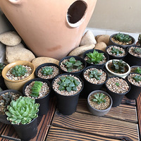 ����ֲ����ڼ�ͥװ�޵ĵ�׺