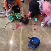 ����Ȧ�����ģ�ϣ��ƽ��