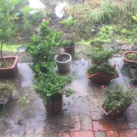 ����ȥ����÷��ʱ��   �ͱ����ôС��