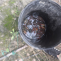 �����   �ҵ�����ϧ