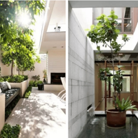 ������ͥ��һ��������������չ�ռ�