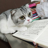 �۶�è��ĳ��ɰ���������ϲ���Ĳ��в���