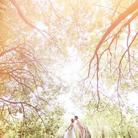 ��2017�������ռǡ�֮�����������ҵĻ�ɴ�մ�Ƭѽ~����