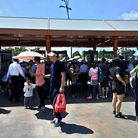 �����Ϻ���˹����԰�����������Ҫһ�����ĺ�����