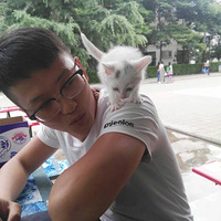 ߣè��ߣè������������