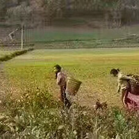 �ҵ�ǰ��������ô�����Ĳ�֪�����