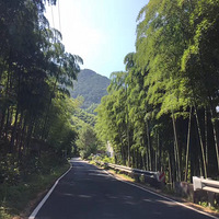 ��Ѫ������ɽ��������ݹ���һö��׼��