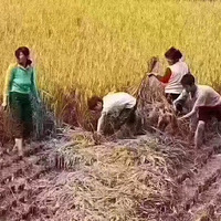 �ҵ�ǰ������������