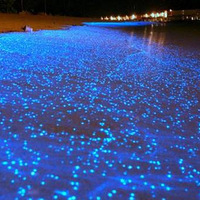 �����ǿա������ᡪ���������쵺