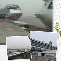 ZOE'LIFE�� ATLANTIC ������