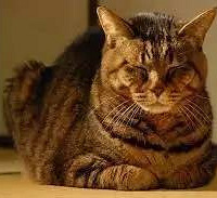 ��û����ôһ�̣����������ĳ��ﱦ����ʵ�Ǹ��ˣ�