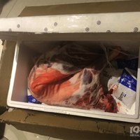 ��ת�����Ѽġ���������Ϧ���� ��һ���Ǿ��䶳ʬ�壡