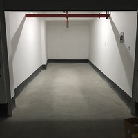 �����˶�������