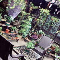 �Ҿ���ô��ƭ���ˡ���