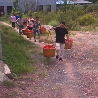 ������충��������ũ������Ķ�