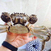 ͬѧ��飬��Ϊ������ɧ�ţ��Ϲ��������ҳ�һ��