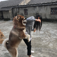 ���ް��ж���Լ�����