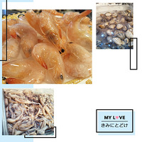 ��ŷ�͡�-���ɶ����������㲻���ҵģ��һ�Ҫ���տ���