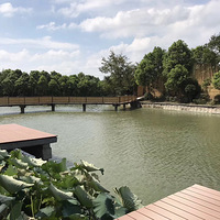 �����������һ����ȥ��