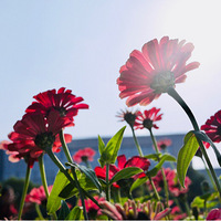 ���������󻨺�