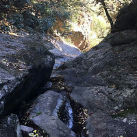 ����Ҳû����ߵ�ɽ���Ⱦͷ��ˣ�����׼����