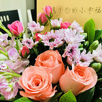 ���������������ռǡ����ǵİ��嵺����֮��