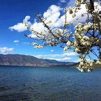 ��û��һ�������ȥ���ɵĵط�