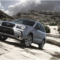 ¿Foresterɭʽ
