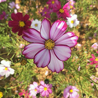 �����λ�������������������