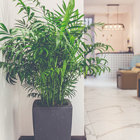 �����ס�ȫ��ɹ�ִ������׹���~