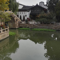 ͽ������