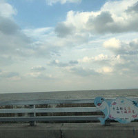 ��ʮһ��ȥ�Ķ���������բз֮���Լ���ѵ���������