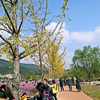 ��ʮһ��ȥ�Ķ����������ӹŵ�һ����