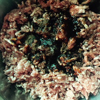 ��Ѫ�������ϼ��ز����óԵ�ʨ��ͷ