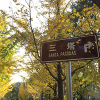 ��������ӱ�ָ�ϴ�ĺÿ�