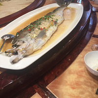 �ԳԺȺ�ʲô�������